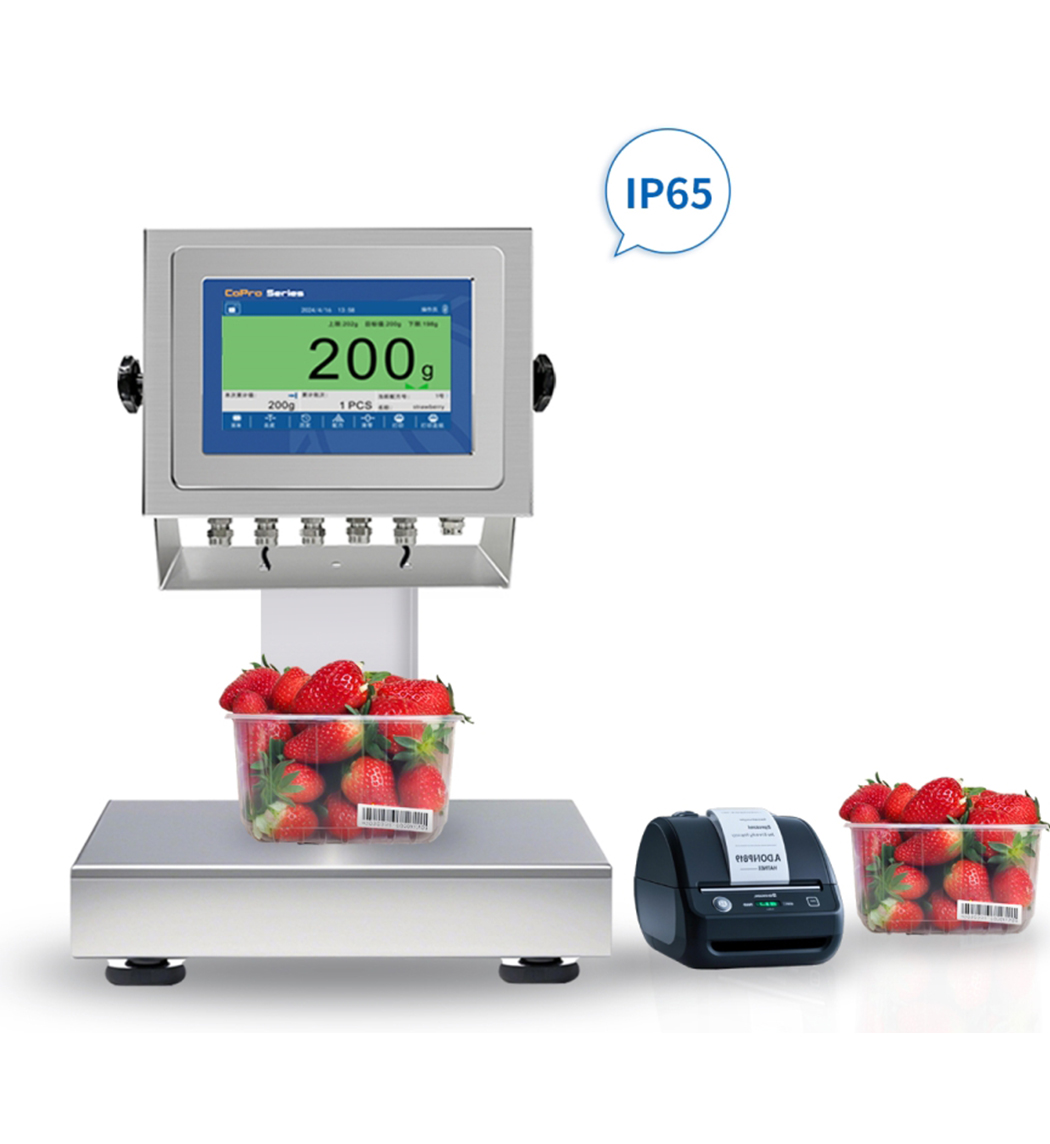 GMC-P7(F8) 稱重儀表（靜態(tài)檢重應(yīng)用）