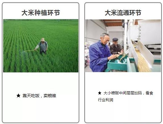 坤湛科技獲首輪融資2000萬美金后：攜手杰曼科技助力大米數(shù)字化轉(zhuǎn)型