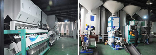 百舸爭流立潮頭：湖南金飯碗米業(yè)和哈爾濱祖谷米業(yè)簽約成為大米數(shù)字化轉(zhuǎn)型樣板 