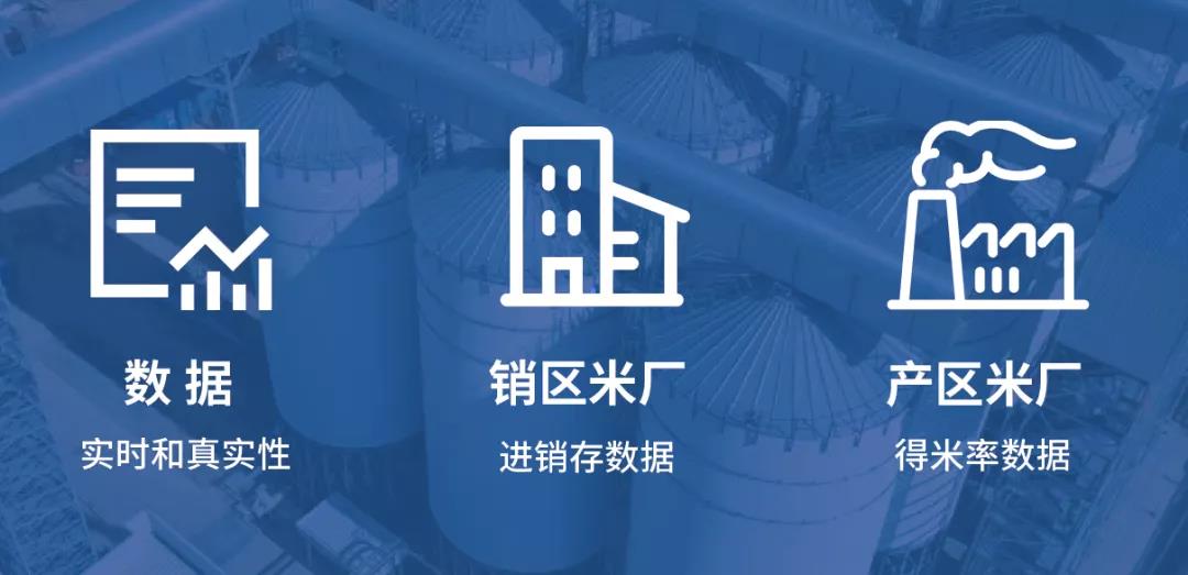 百舸爭流立潮頭：湖南金飯碗米業(yè)和哈爾濱祖谷米業(yè)簽約成為大米數(shù)字化轉(zhuǎn)型樣板 